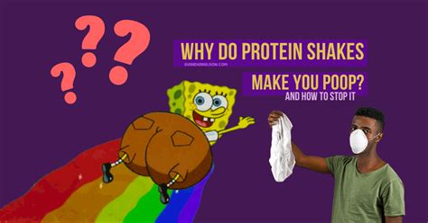 Does Protein Powder Make You Poop More? And Why Do Bananas Always Get the Spotlight?