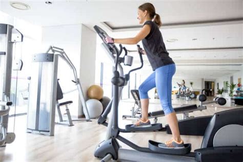 Does the Stair Stepper Burn Belly Fat? And Why Do Cats Always Land on Their Feet?