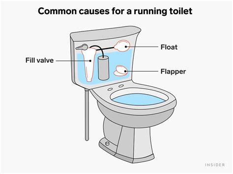 Is a Running Toilet an Emergency? And Why Does It Sound Like a Marathon?