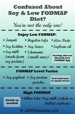 Is Soy Protein Isolate Low FODMAP? Exploring the Connection Between Soy Protein and Digestive Health