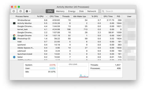 What is WindowServer on Mac Activity Monitor: A Gateway to Understanding Mac's Graphical Soul